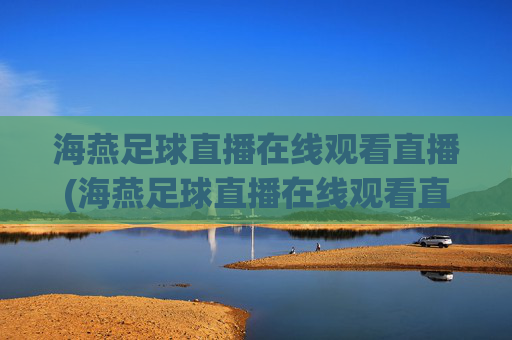 海燕足球直播在线观看直播(海燕足球直播在线观看直播回放)