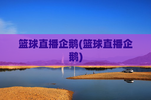 篮球直播企鹅(篮球直播企鹅)