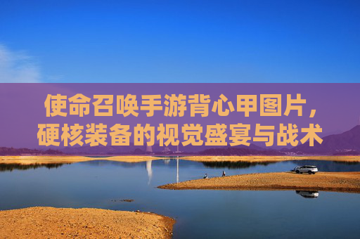 使命召唤手游背心甲图片，硬核装备的视觉盛宴与战术魅力，使命召唤手游背心甲图片，硬核装备的视觉盛宴与战术魅力