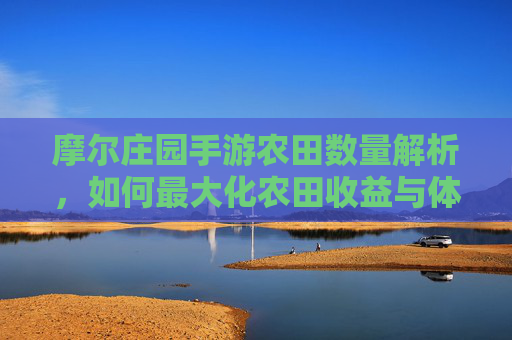 摩尔庄园手游农田数量解析,如何最大化农田收益与体验?