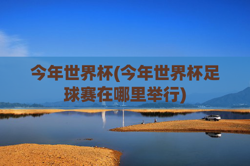 今年世界杯(今年世界杯足球赛在哪里举行)