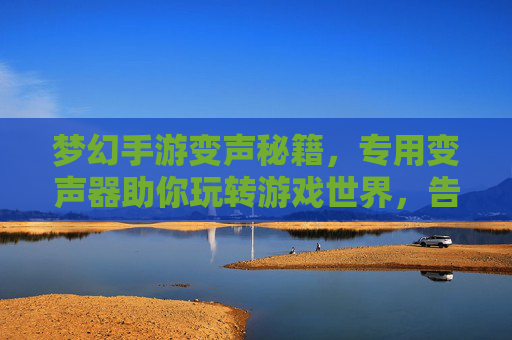 梦幻手游变声秘籍,专用变声器助你玩转游戏世界,告别单调,化身特色角色!