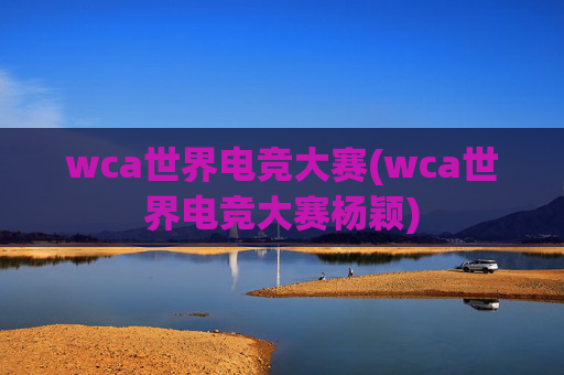 wca世界电竞大赛(wca世界电竞大赛杨颖)