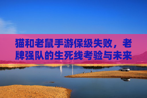 猫和老鼠手游保级失败，老牌强队的生死线考验与未来反思，猫和老鼠手游保级失败，老牌强队的生死线考验与未来反思