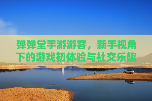 弹弹堂手游游客，新手视角下的游戏初体验与社交乐趣