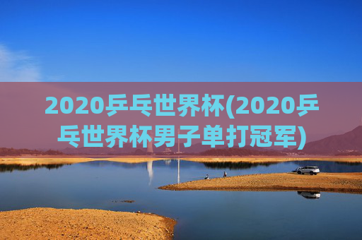 2020乒乓世界杯(2020乒乓世界杯男子单打冠军)