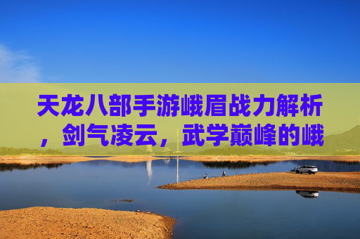 天龙八部手游峨眉战力解析，剑气凌云，武学巅峰的峨眉之道