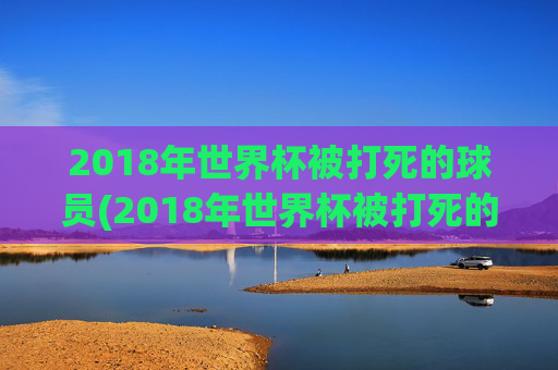 2018年世界杯被打死的球员(2018年世界杯被打死的球员是谁)