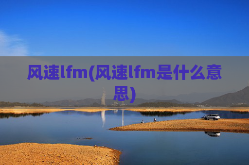 风速lfm(风速lfm是什么意思)