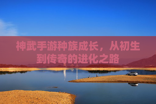 神武手游种族成长，从初生到传奇的进化之路