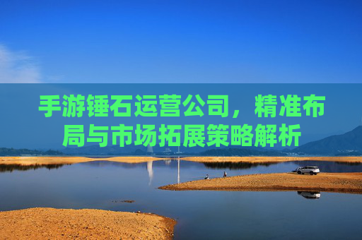 手游锤石运营公司，精准布局与市场拓展策略解析