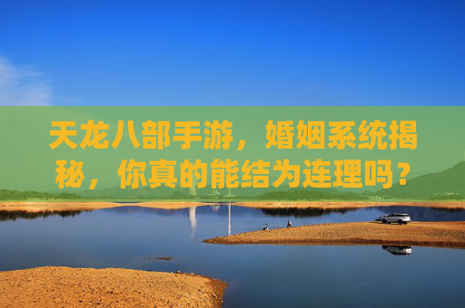 天龙八部手游，婚姻系统揭秘，你真的能结为连理吗？——从条件到玩法全解析