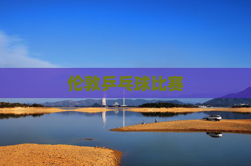 伦敦乒乓球比赛