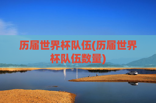 历届世界杯队伍(历届世界杯队伍数量)