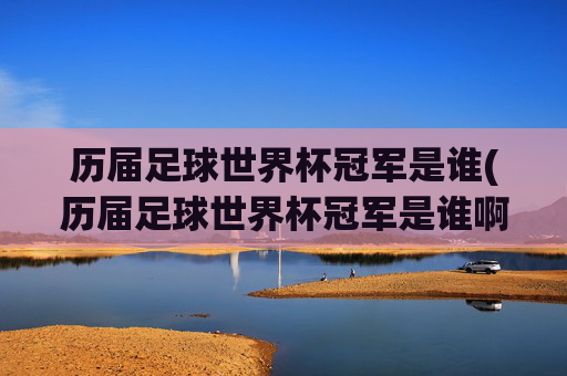 历届足球世界杯冠军是谁(历届足球世界杯冠军是谁啊)