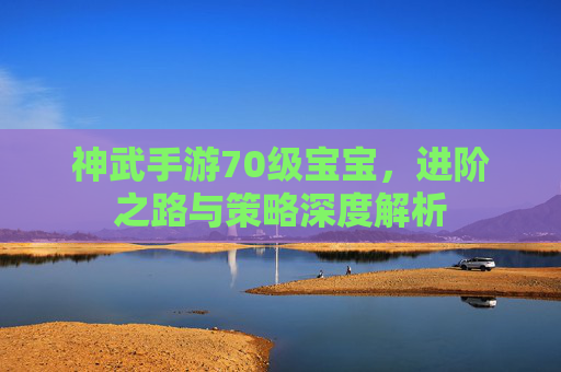 神武手游70级宝宝，进阶之路与策略深度解析