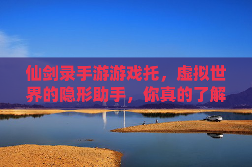 仙剑录手游游戏托,虚拟世界的隐形助手,你真的了解吗?