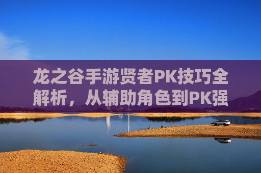 龙之谷手游贤者PK技巧全解析,从辅助角色到PK强者的进阶之路