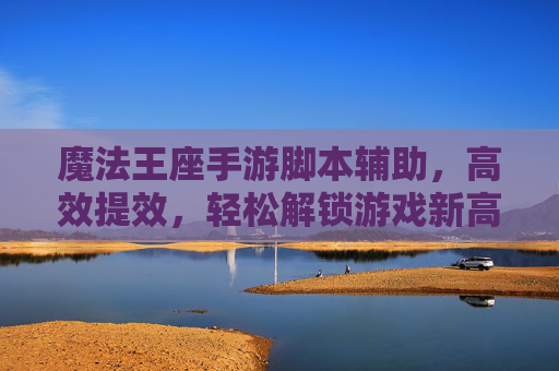 魔法王座手游脚本辅助,高效提效,轻松解锁游戏新高度
