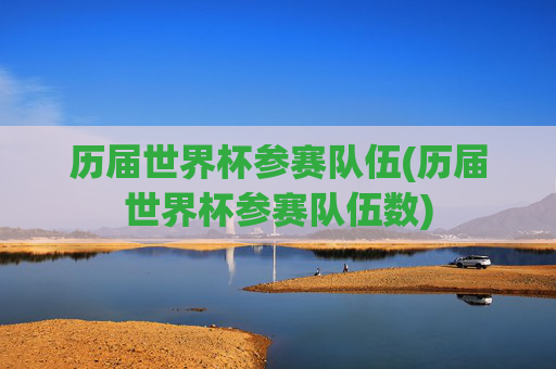 历届世界杯参赛队伍(历届世界杯参赛队伍数)