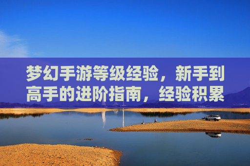 梦幻手游等级经验,新手到高手的进阶指南,经验积累与技巧解析