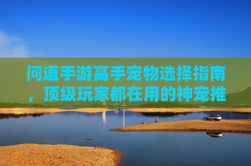 问道手游高手宠物选择指南，顶级玩家都在用的神宠推荐与策略解析