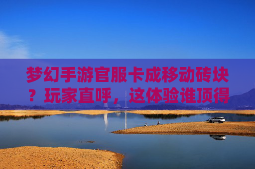 梦幻手游官服卡成移动砖块？玩家直呼，这体验谁顶得住？梦幻手游官服卡成移动砖块？玩家直呼，这体验谁顶得住？