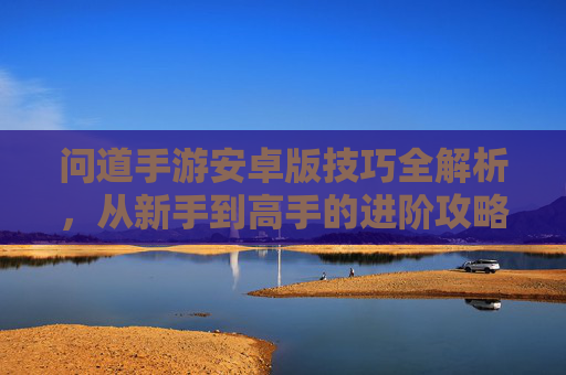 问道手游安卓版技巧全解析，从新手到高手的进阶攻略