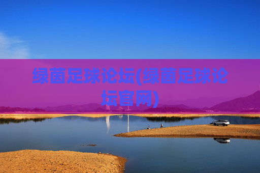 绿茵足球论坛(绿茵足球论坛官网)