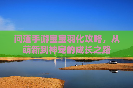 问道手游宝宝羽化攻略,从萌新到神宠的成长之路