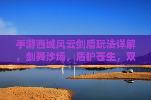 手游西域风云剑盾玩法详解,剑舞沙场,盾护苍生,双剑合璧的战斗艺术