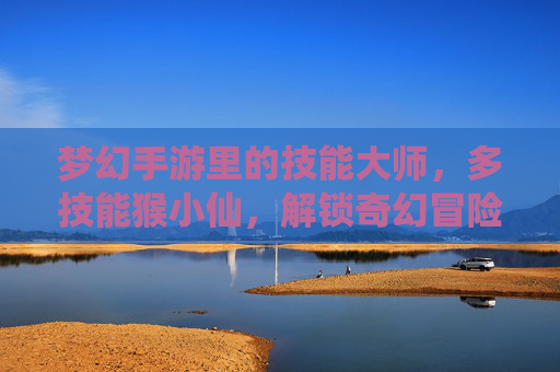 梦幻手游里的技能大师，多技能猴小仙，解锁奇幻冒险新可能
