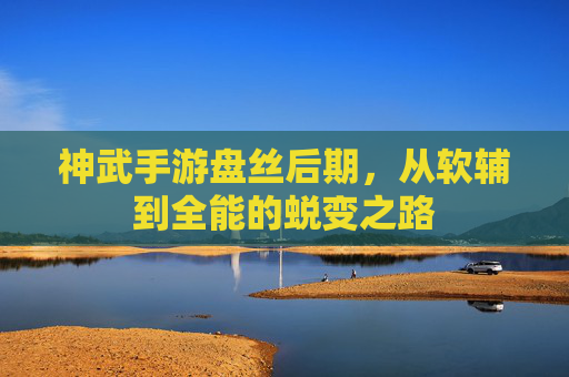 神武手游盘丝后期,从软辅到全能的蜕变之路
