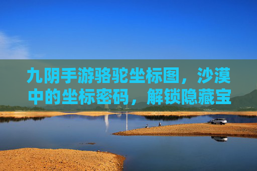 九阴手游骆驼坐标图，沙漠中的坐标密码，解锁隐藏宝藏与任务秘境