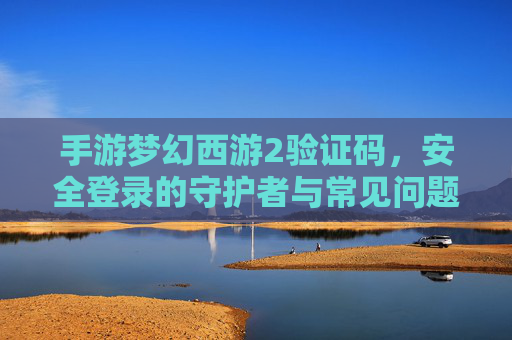 手游梦幻西游2验证码，安全登录的守护者与常见问题解析，梦幻西游2手游验证码，安全登录的守护者与常见问题解析