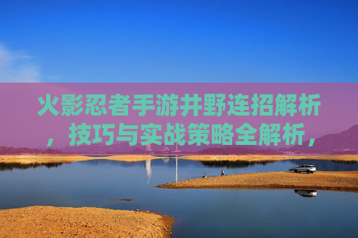 火影忍者手游井野连招解析，技巧与实战策略全解析，火影忍者手游井野连招解析，技巧与实战策略全解析