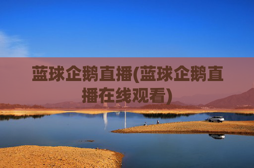 蓝球企鹅直播(蓝球企鹅直播在线观看)