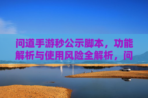 问道手游秒公示脚本，功能解析与使用风险全解析，问道手游秒公示脚本，功能解析与使用风险全解析