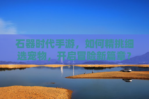 石器时代手游,如何精挑细选宠物,开启冒险新篇章?石器时代手游,精挑细选宠物,开启冒险新篇章