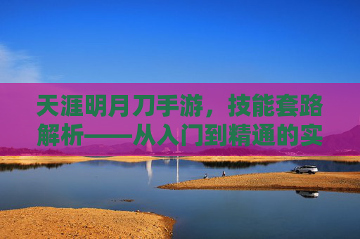 天涯明月刀手游，技能套路解析——从入门到精通的实战技巧全解析，天涯明月刀手游技能套路解析，从入门到精通的实战技巧全解析