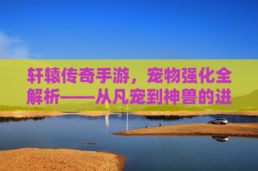 轩辕传奇手游，宠物强化全解析——从凡宠到神兽的进阶之路，轩辕传奇手游宠物强化全解析，从凡宠到神兽的进阶之路