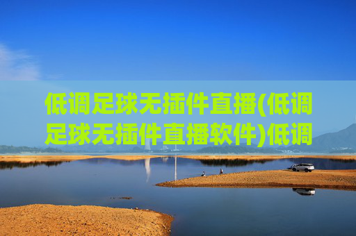 低调足球无插件直播(低调足球无插件直播软件)低调足球无插件直播,足球赛事专用无插件直播软件