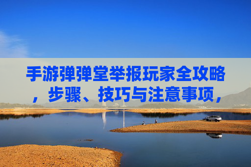 手游弹弹堂举报玩家全攻略，步骤、技巧与注意事项，手游弹弹堂举报玩家全攻略，步骤、技巧与注意事项