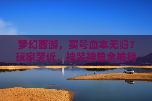 梦幻西游，买号血本无归？玩家哭诉，神装神兽全被找回，辛辛苦苦攒的财富一夜清零，梦幻西游买号血本无归？玩家哭诉神装神兽全被找回，辛辛苦苦攒的财富一夜清零