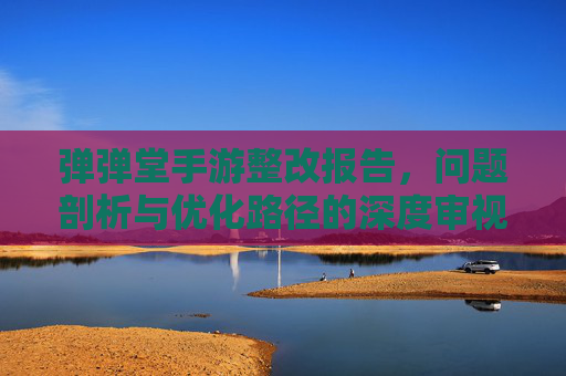 弹弹堂手游整改报告，问题剖析与优化路径的深度审视