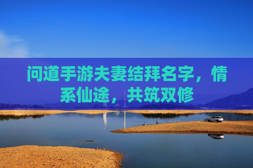 问道手游夫妻结拜名字,情系仙途,共筑双修