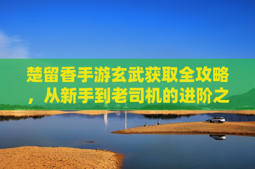 楚留香手游玄武获取全攻略，从新手到老司机的进阶之路，楚留香手游玄武获取全攻略，从新手到老司机的进阶之路