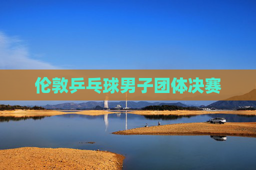 伦敦乒乓球男子团体决赛