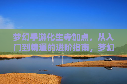 梦幻手游化生寺加点,从入门到精通的进阶指南,梦幻手游化生寺加点,从入门到精通的进阶指南