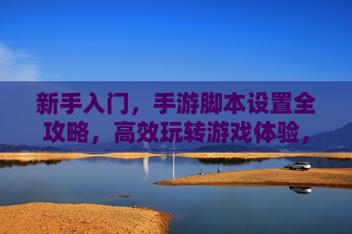 新手入门，手游脚本设置全攻略，高效玩转游戏体验，新手入门手游脚本设置全攻略，高效玩转游戏体验